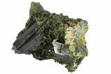 Lustrous Epidote Crystal Cluster on Actinolite - Pakistan #91946-1